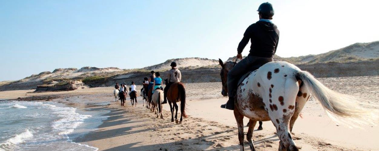 equitation gironde