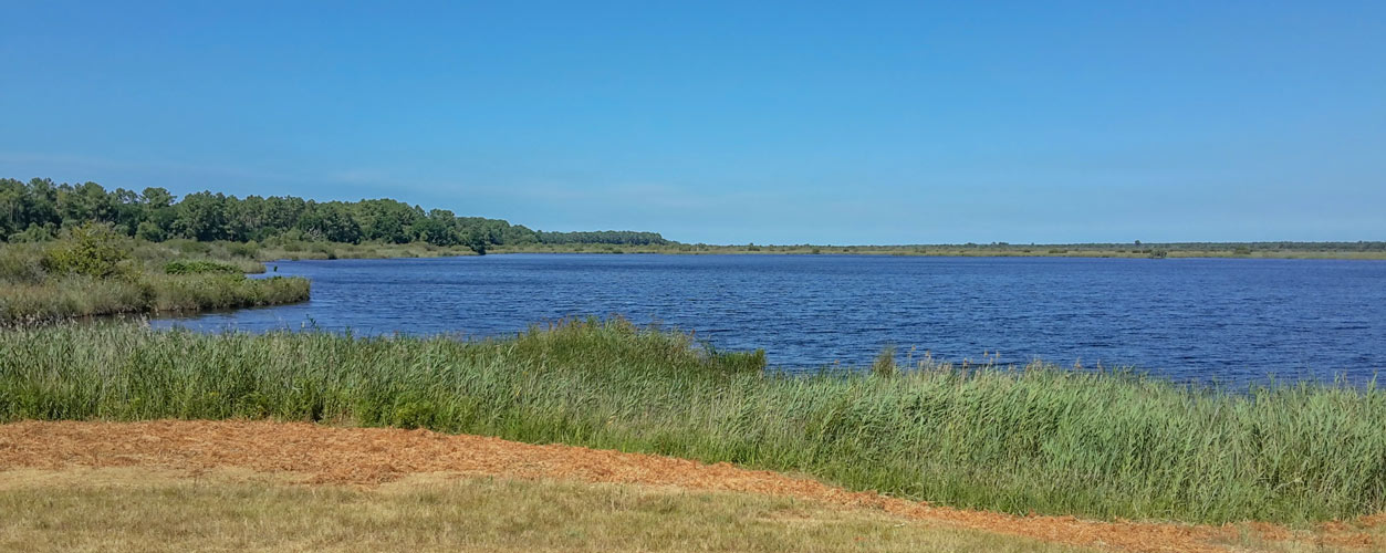 etang cousseau