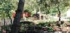 camping jardin permaculture gironde