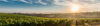 vignoble medoc