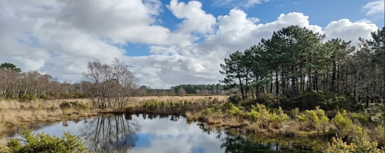 marais d'Hourtin